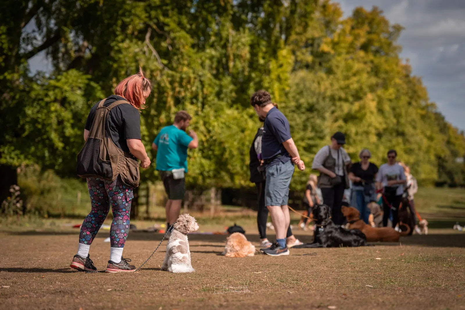 Dogs and owners during a Quality Chops group class in the park