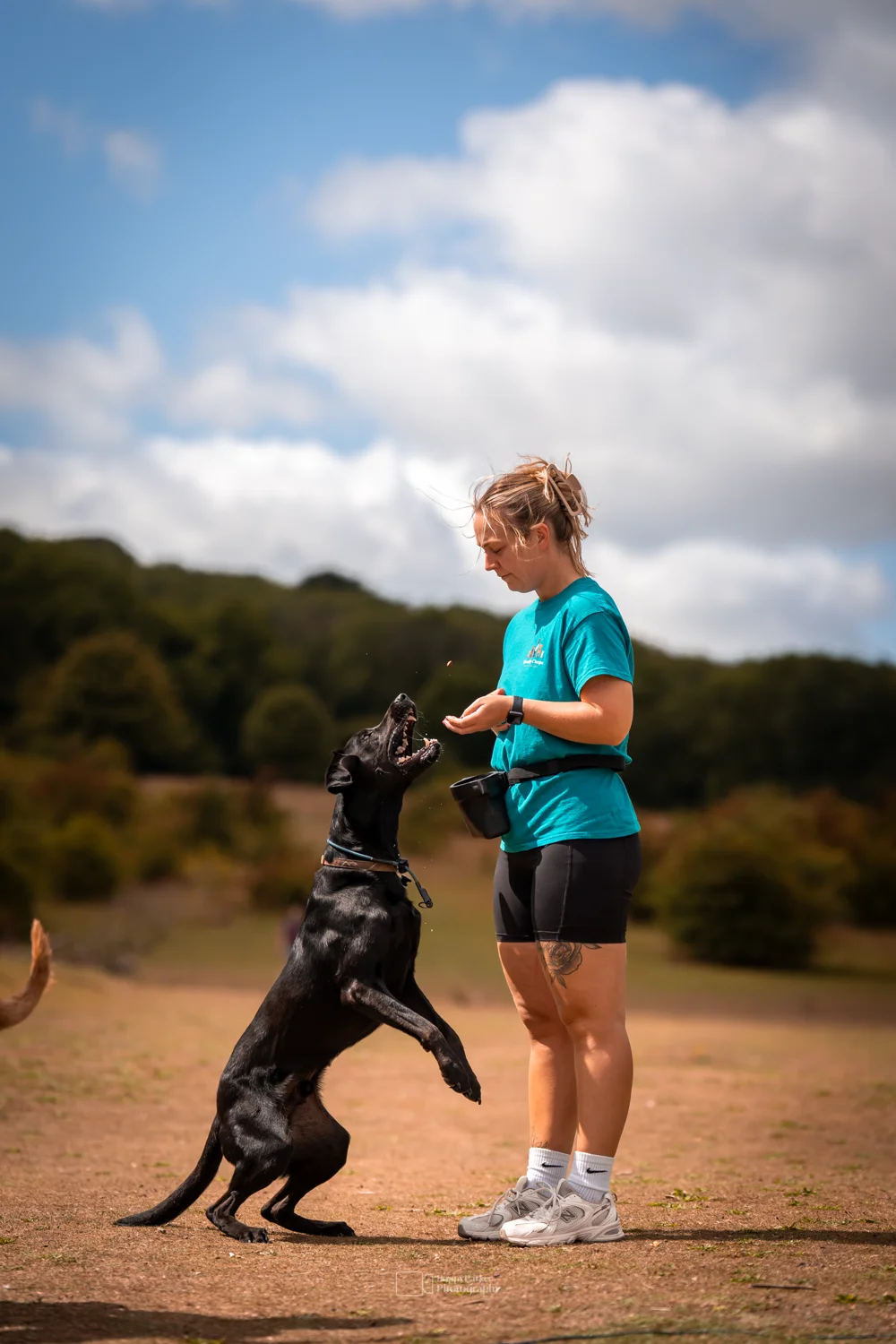 Trainer rewarding a dog with a treat during a private lesson